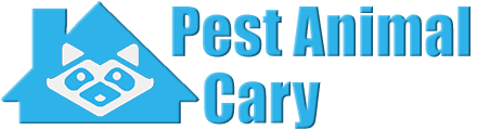 Cary Wildlife and Animal Removal